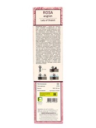 Саженец Роза английская парковая "Леди оф Шалот", туба, 1 шт, Лето 2025 - фото 41350900