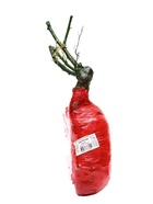 Саженец Роза английская парковая "Леди оф Шалот", туба, 1 шт, Лето 2025 - фото 41350901