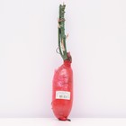 Саженец Роза английская парковая Оливия Роуз Остин, туба, 1 шт. Весна 2026  (артикул 10370605)  большой выбор товаров оптом и в розницу по низким ценам с доставкой