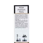 Саженец Роза флорибунда Фреска Романа, туба, 1 шт. Весна 2026  (артикул 10370655)  большой выбор товаров оптом и в розницу по низким ценам с доставкой