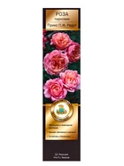 Саженец Роза Гийо парковая Прикс П.Ж. Редут, туба, 1 шт. Весна 2026  (артикул 10370658)  большой выбор товаров оптом и в розницу по низким ценам с доставкой