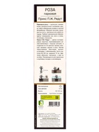 Саженец Роза Гийо парковая Прикс П.Ж. Редут, туба, 1 шт. Весна 2026  (артикул 10370658)  большой выбор товаров оптом и в розницу по низким ценам с доставкой