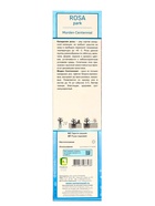 Саженец Роза канадская парковая "Модэн Сентенниал", туба, 1 шт, Весна 2025 10370674 - фото 4358036