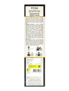 Саженец Роза Кордес флорибунда Герцогиня Кристина, туба, 1 шт. Весна 2026  (артикул 10370691)  большой выбор товаров оптом и в розницу по низким ценам с доставкой