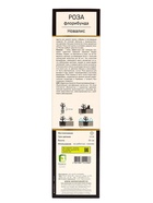 Саженец Роза Кордес флорибунда Новалис, туба, 1 шт. Весна 2026  (артикул 10370693)  большой выбор товаров оптом и в розницу по низким ценам с доставкой