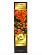 Саженец Роза Кордес флорибунда Феникс, туба, 1 шт. Весна 2026  (артикул 10370698)  большой выбор товаров оптом и в розницу по низким ценам с доставкой