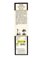 Саженец Роза Кордес флорибунда Феникс, туба, 1 шт. Весна 2026  (артикул 10370698)  большой выбор товаров оптом и в розницу по низким ценам с доставкой