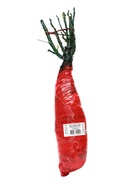 Саженец Роза Хакнесс флорибунда "Эси Доэс Ит", туба, 1 шт, Лето 2025 - фото 42297106