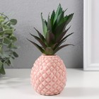 Сувенир керамика "Розовый ананас" 7х7х17,5 см - фото 9522370