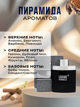 Туалетная вода мужская Gentle Days, 100 мл