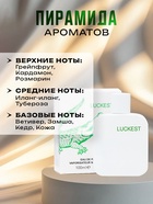 Туалетная вода мужская Luckest, 100 мл - фото 29817367