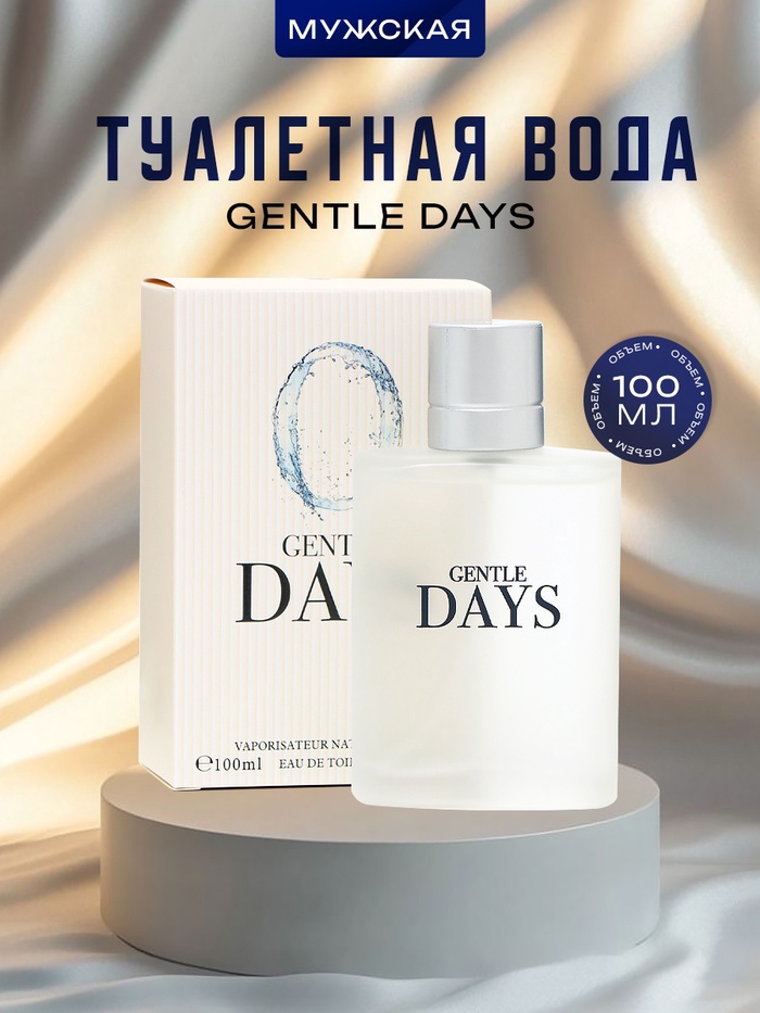 

Туалетная вода мужская Gentle Days, 100 мл
