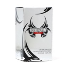 Туалетная вода мужская Courageous Silver, 100 мл - фото 31453040