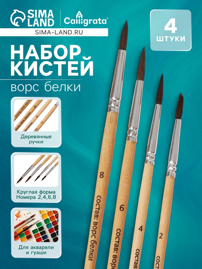 Набор кистей для рисования, белка, 4 штуки: № 2, 4, 6, 8, Calligrata, круглые, деревянная ручка, международный размер - Фото 1