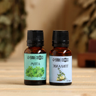 Набор эфирных масел 2 шт "Эвкалипт, Мята" по 15 мл - Фото 2