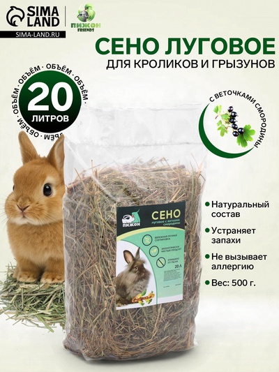 Сено луговое для грызунов «Пижон», 20 л, 500 г, с веточками смородины