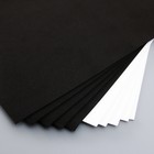 Фоамиран "Астра" 1 мм, 20х30 см (набор 10 листов) цв. черный/белый - фото 9627637