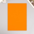 Набор жесткого фетра "Астра" (3 шт) ярко-оранжевый, 1 мм, 160 гр, 20х30 см - фото 3385213