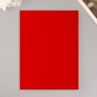 Набор жесткого фетра "Астра" (3 шт) красный, 3 мм, 20х30 см - фото 12169554