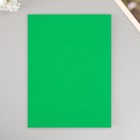 Набор мягкого фетра "Астра" (3 шт) зелёный, 3 мм, 400 гр. 20х30 см - фото 299297568