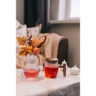 Заварочный чайник Magistro «Лофт» 400 мл, 15×9×11.5 см, стеклянное сито, стекло - Фото 8