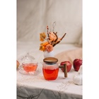 Заварочный чайник Magistro «Лофт» 400 мл, 15×9×11.5 см, стеклянное сито, стекло - Фото 7