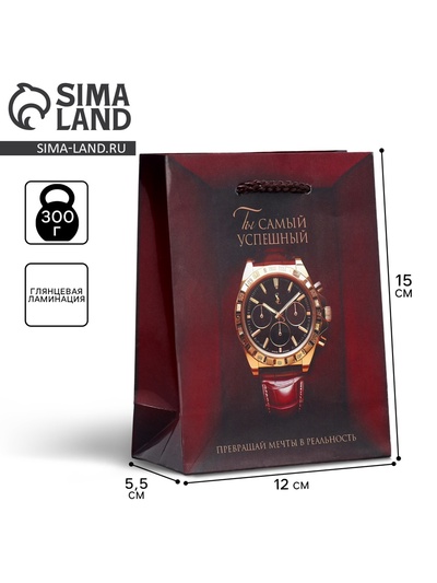 Пакет подарочный ламинированный, упаковка, «Самый успешный», S, 15 х 12 х 5.5 см