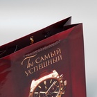 Пакет подарочный ламинированный, упаковка, «Успех», ML, 25 х 21 х 8 см - Фото 6