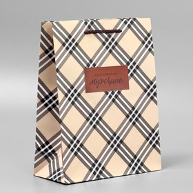 Пакет подарочный ламинированный, упаковка, «Настоящему мужчине», MS, 23 х 18 х 8 см