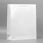 Пакет подарочный ламинированный, упаковка, «Белый», 40 х 49 х 15 см - фото 304805801