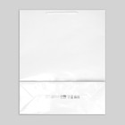 Пакет подарочный ламинированный, упаковка, «Белый», 40 х 49 х 15 см - Фото 7