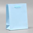 Пакет подарочный ламинированный, упаковка, «Голубой», S 12 х 15 х 5.5 см - фото 3387203