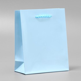 Пакет подарочный ламинированный, упаковка, «Голубой», S 12 х 15 х 5.5 см