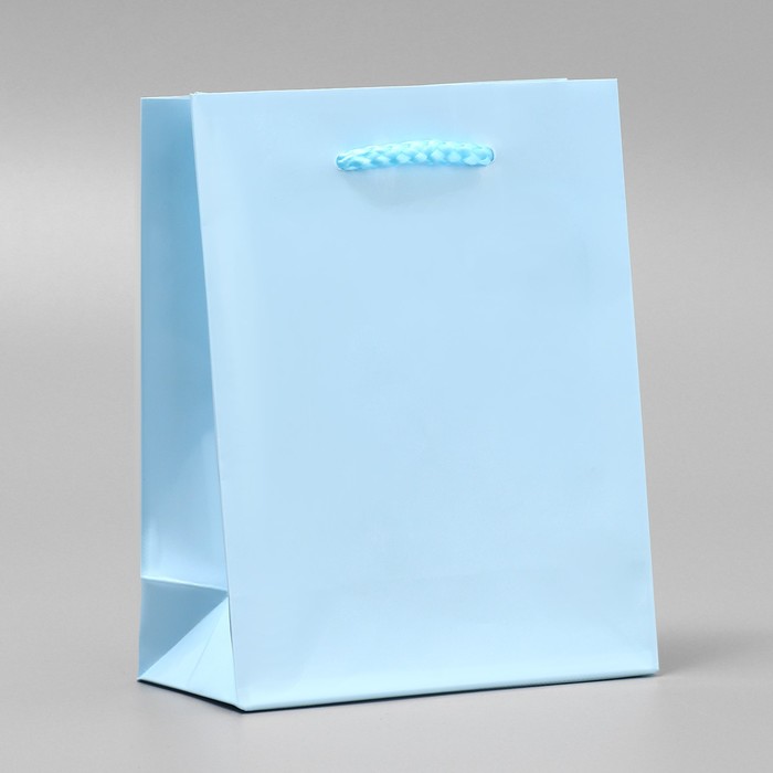 Пакет подарочный ламинированный, упаковка, «Голубой», S 12 х 15 х 5.5 см - Фото 1
