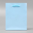 Пакет подарочный ламинированный, упаковка, «Голубой», S 12 х 15 х 5.5 см - Фото 2