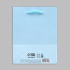 Пакет подарочный ламинированный, упаковка, «Голубой», S 12 х 15 х 5.5 см - Фото 7