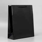 Пакет подарочный ламинированный, упаковка, Black, M 24 х 29 х 9 см - фото 321411669