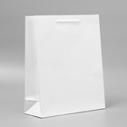 Пакет подарочный ламинированный, упаковка, White, M 24 х 29 х 9 см - фото 321411670