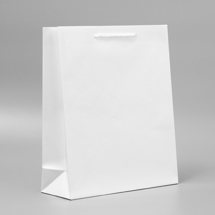Пакет подарочный ламинированный, упаковка, White, M 24 х 29 х 9 см
