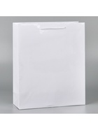 Пакет подарочный ламинированный, упаковка, M 24 х 29 х 9 см, белый  (артикул 10074191)  большой выбор товаров оптом и в розницу по низким ценам с доставкой