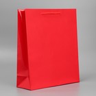 Пакет подарочный ламинированный, упаковка, Red, M 24 х 29 х 9 см - фото 321411671