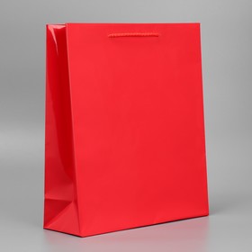 Пакет подарочный ламинированный, упаковка, Red, M 24 х 29 х 9 см