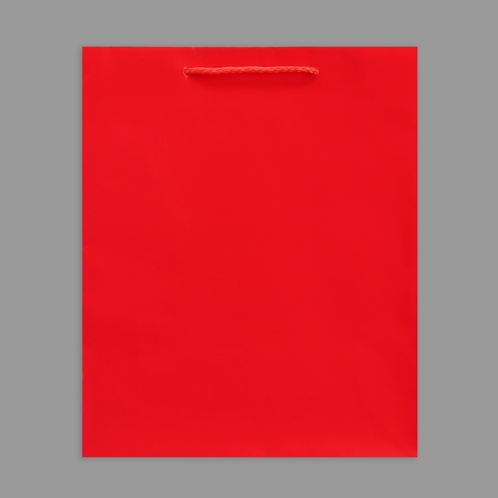 Пакет ламинированный Red, M 24 х 29 х 9 см