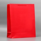 Пакет подарочный ламинированный, упаковка, «Красный», 40 х 49 х 15 см - фото 321411672