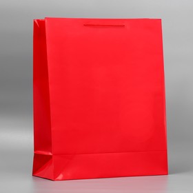 Пакет подарочный ламинированный, упаковка, «Красный», 40 х 49 х 15 см