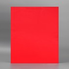 Пакет подарочный ламинированный, упаковка, «Красный», 40 х 49 х 15 см - Фото 2