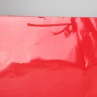 Пакет подарочный ламинированный, упаковка, «Красный», 40 х 49 х 15 см - Фото 10