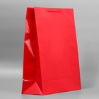 Пакет подарочный ламинированный, упаковка, «Красный», 40 х 49 х 15 см - Фото 3