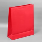 Пакет подарочный ламинированный, упаковка, «Красный», 40 х 49 х 15 см - Фото 4