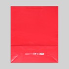Пакет подарочный ламинированный, упаковка, «Красный», 40 х 49 х 15 см - Фото 7
